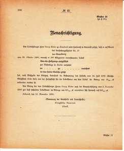 Grossherzoglich Hessisches Regierungsblatt 1880.djvu # 297
