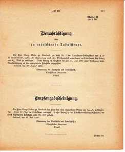 Grossherzoglich Hessisches Regierungsblatt 1880.djvu # 298