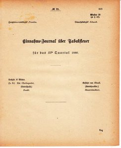 Grossherzoglich Hessisches Regierungsblatt 1880.djvu # 304