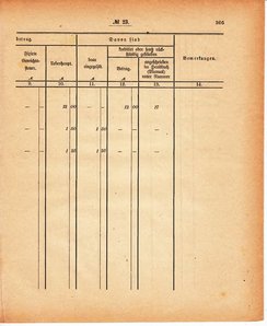Grossherzoglich Hessisches Regierungsblatt 1880.djvu # 306
