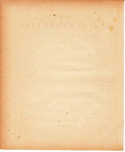 Grossherzoglich Hessisches Regierungsblatt 1880.djvu # 307