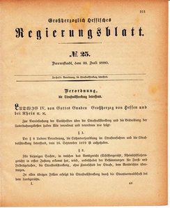 Grossherzoglich Hessisches Regierungsblatt 1880.djvu # 312