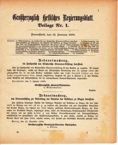 Grossherzoglich Hessisches Regierungsblatt 1880.djvu # 363