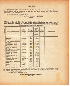 Grossherzoglich Hessisches Regierungsblatt 1880.djvu # 377