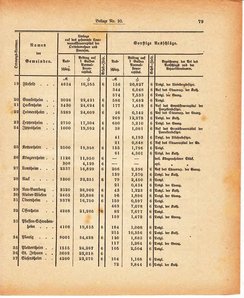 Grossherzoglich Hessisches Regierungsblatt 1880.djvu # 441