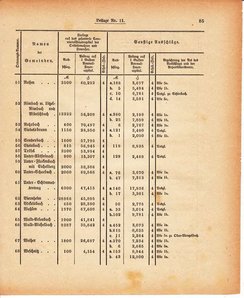 Grossherzoglich Hessisches Regierungsblatt 1880.djvu # 447