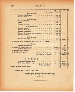 Grossherzoglich Hessisches Regierungsblatt 1880.djvu # 502