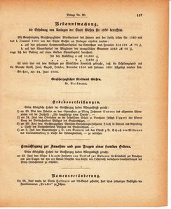 Grossherzoglich Hessisches Regierungsblatt 1880.djvu # 519