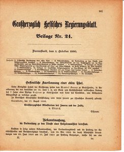 Grossherzoglich Hessisches Regierungsblatt 1880.djvu # 590
