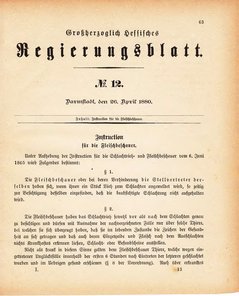 Grossherzoglich Hessisches Regierungsblatt 1880.djvu # 64