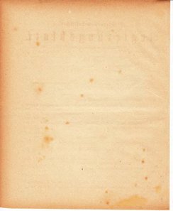 Grossherzoglich Hessisches Regierungsblatt 1880.djvu # 87