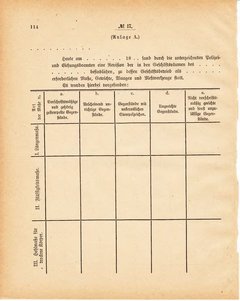 Grossherzoglich Hessisches Regierungsblatt 1881.djvu ‎ # 115