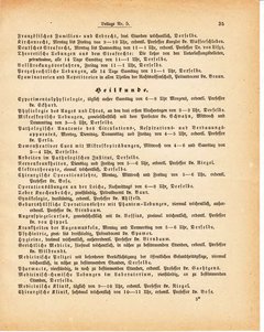 Grossherzoglich Hessisches Regierungsblatt 1881.djvu ‎ # 245