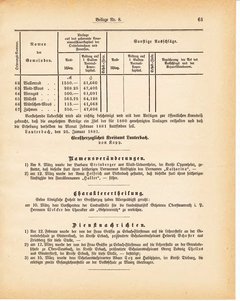 Grossherzoglich Hessisches Regierungsblatt 1881.djvu ‎ # 273