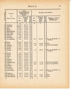 Grossherzoglich Hessisches Regierungsblatt 1881.djvu ‎ # 285