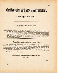 Grossherzoglich Hessisches Regierungsblatt 1881.djvu ‎ # 299