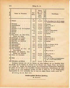 Grossherzoglich Hessisches Regierungsblatt 1881.djvu ‎ # 322