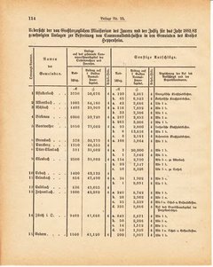 Grossherzoglich Hessisches Regierungsblatt 1881.djvu ‎ # 324