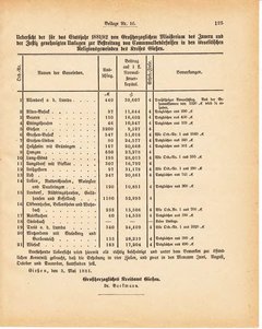 Grossherzoglich Hessisches Regierungsblatt 1881.djvu ‎ # 335