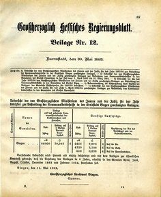 Grossherzoglich Hessisches Regierungsblatt 1883.djvu # 213