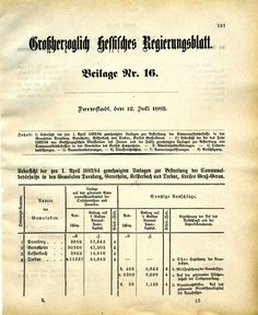 Grossherzoglich Hessisches Regierungsblatt 1883.djvu # 245