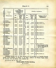 Grossherzoglich Hessisches Regierungsblatt 1883.djvu # 259