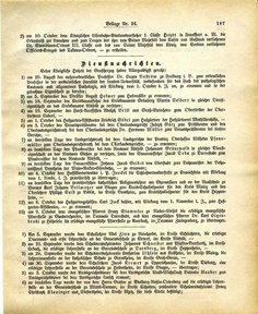 Grossherzoglich Hessisches Regierungsblatt 1883.djvu # 311