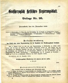 Grossherzoglich Hessisches Regierungsblatt 1883.djvu # 321
