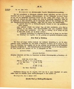 Grossherzoglich Hessisches Regierungsblatt 1895.djvu # 207