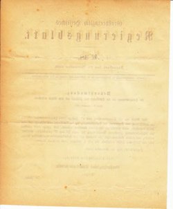 Grossherzoglich Hessisches Regierungsblatt 1895.djvu # 215