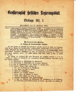Grossherzoglich Hessisches Regierungsblatt 1895.djvu # 225