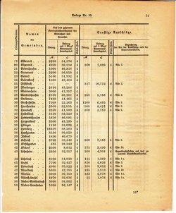 Grossherzoglich Hessisches Regierungsblatt 1895.djvu # 299