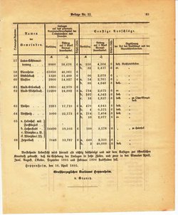 Grossherzoglich Hessisches Regierungsblatt 1895.djvu # 317