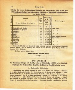 Grossherzoglich Hessisches Regierungsblatt 1895.djvu # 402