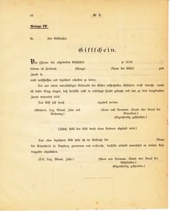 Grossherzoglich Hessisches Regierungsblatt 1895.djvu # 47