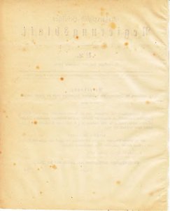 Grossherzoglich Hessisches Regierungsblatt 1895.djvu # 5