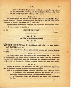 Grossherzoglich Hessisches Regierungsblatt 1895.djvu # 88