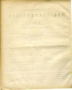 Grossherzoglich_Hessisches_Regierungsblatt_1884.djvu # 295