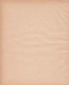 Grossherzogtum_Hessen_Regierungsblatt_1885.djvu # 39