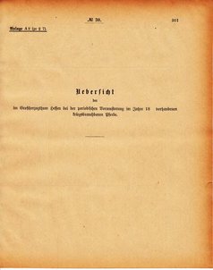 Grossherzogtum_Hessen_Regierungsblatt_1886.djvu # 202