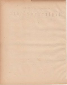 Grossherzogtum_Hessen_Regierungsblatt_1886.djvu # 229