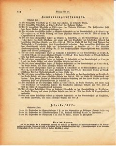 Grossherzogtum_Hessen_Regierungsblatt_1886.djvu # 455