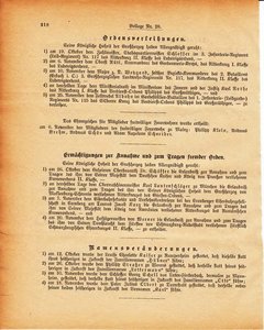 Grossherzogtum_Hessen_Regierungsblatt_1886.djvu # 459