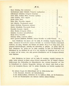 Grossherzogtum_Hessen_Regierungsblatt_1887.djvu # 313