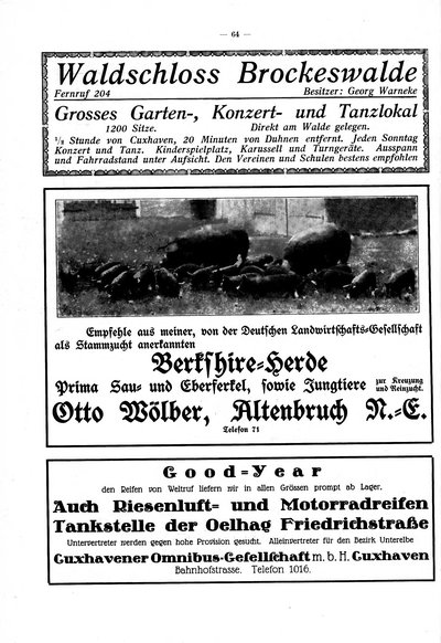 Heimat_und_Einwohnerbuch_Kehdingen.djvu # 60