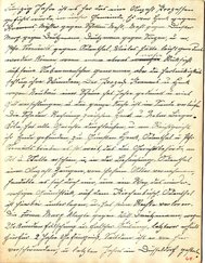 Hilgers-Chronik_Band1.djvu # 41