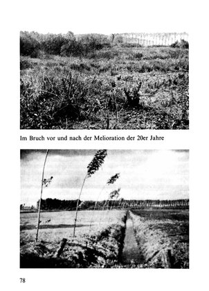 Leben am Gillbach.djvu # 77