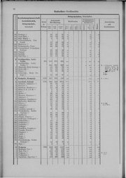 Oesterreich-06.djvu # 33