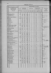 Oesterreich-09.djvu # 187