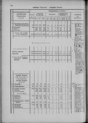Oesterreich-09.djvu # 203